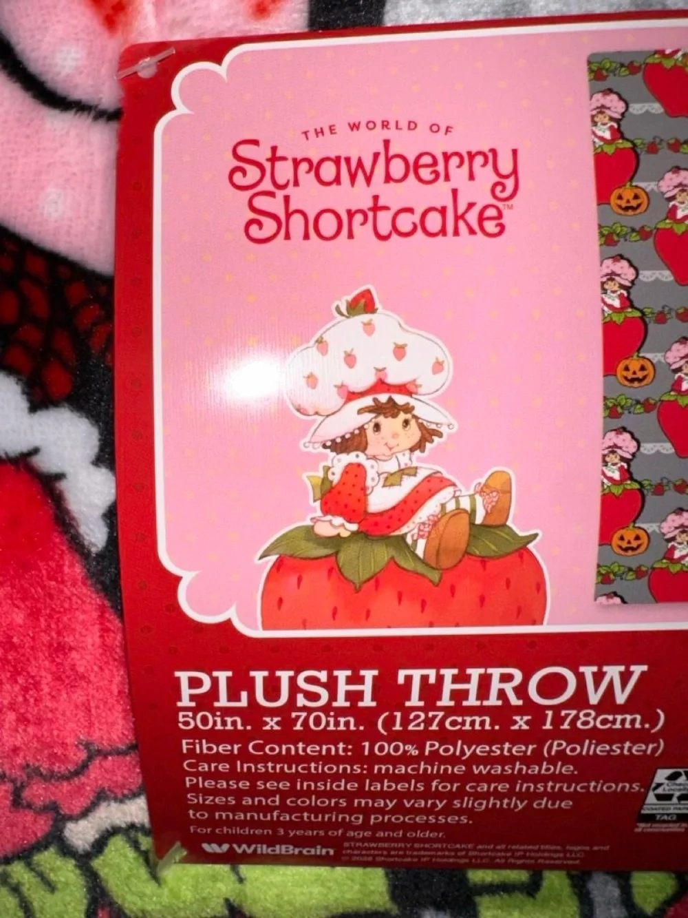 Strawberry Shortcake Halloween Plush Throw Blanket